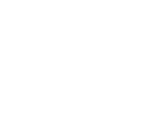 The 36 Group Logo