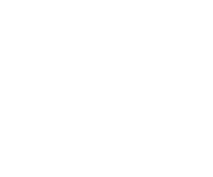 avelo