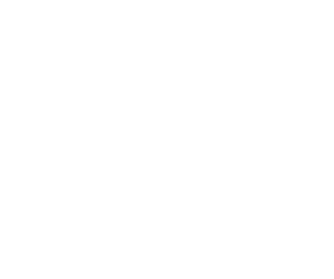 Bird & Bird Logo