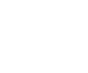 Bird-Bird