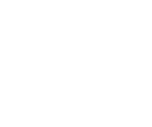 fried-frank