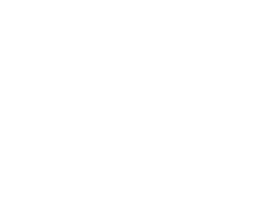 Liberty Mutual