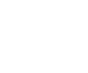 White Case