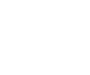 Womble Bond & Dickinson