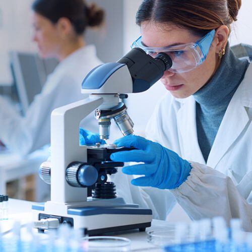 How IDEXX Identified All Exposure to Sanctioned Entities  